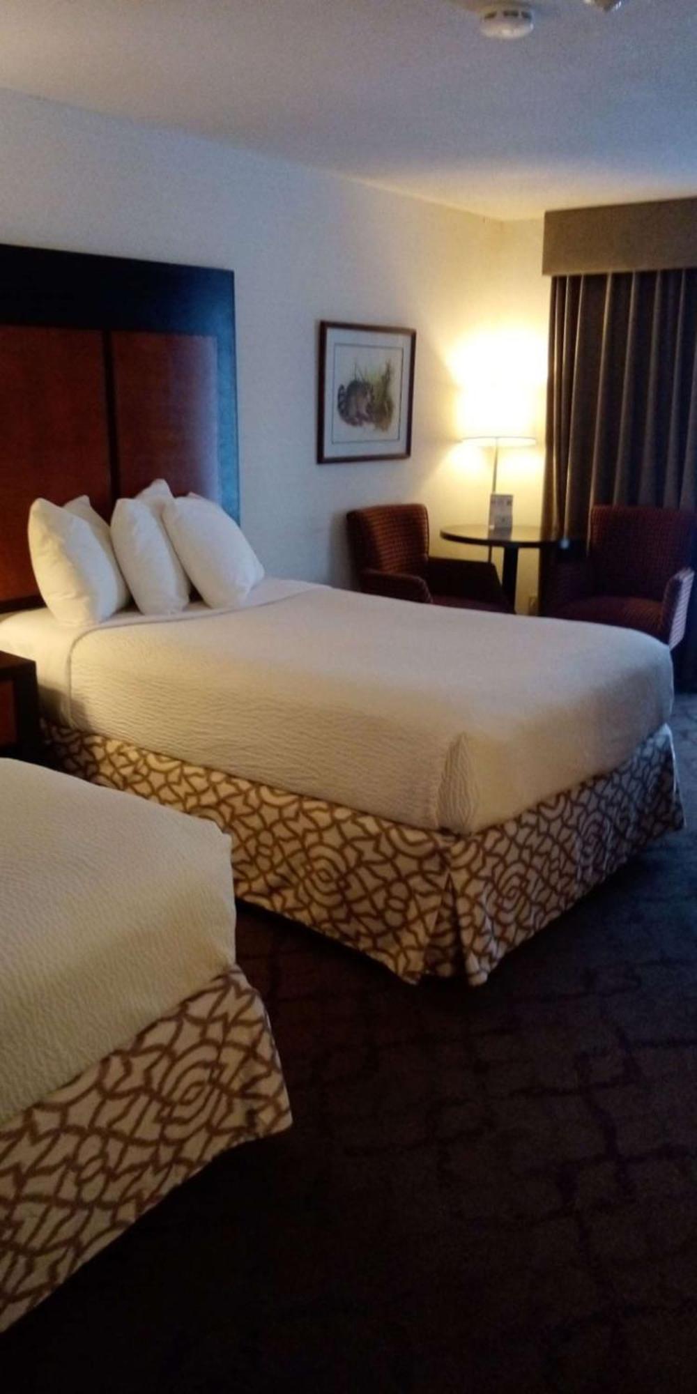 פיטרבורו Best Western Plus Otonabee Inn מראה חיצוני תמונה